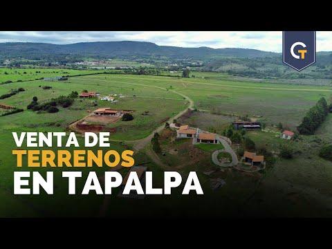 Previsualización del video
