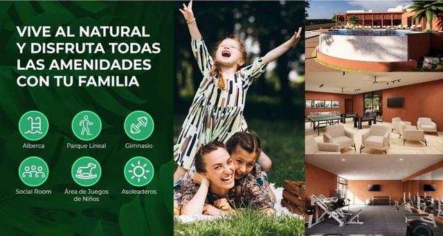 Foto de la galeria de imagenes